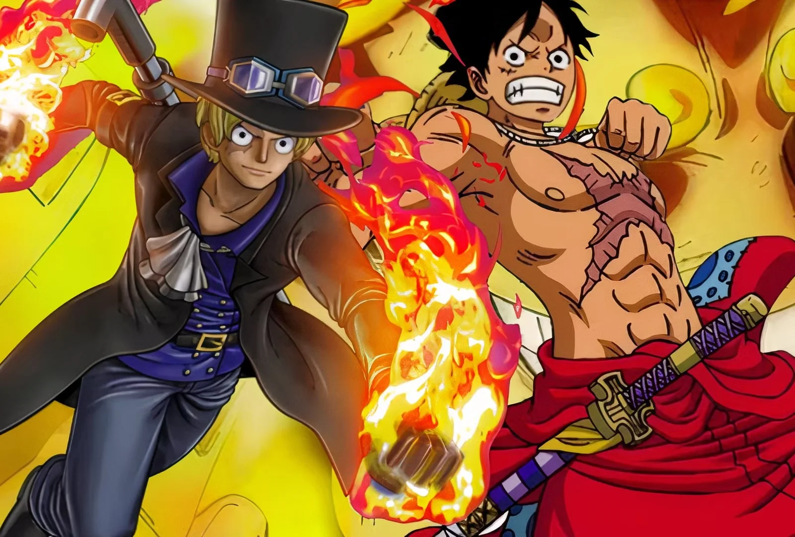 One Piece Banner